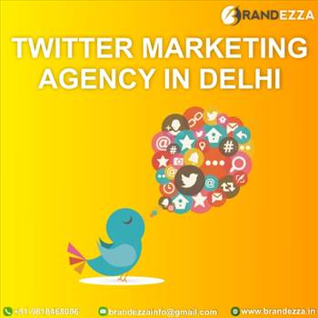 twitter marketing agency in delhi.jpg - 