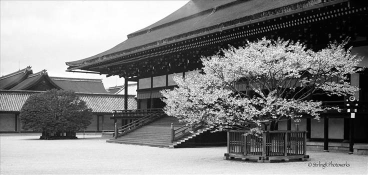Kyoto Imperial Palace - Main building, Shishinden.jpg - 