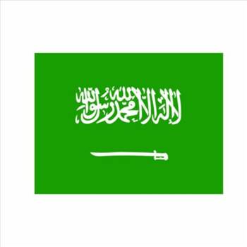 Navigating Business Visa Requirements for Saudi Arabia by saudievisaonline