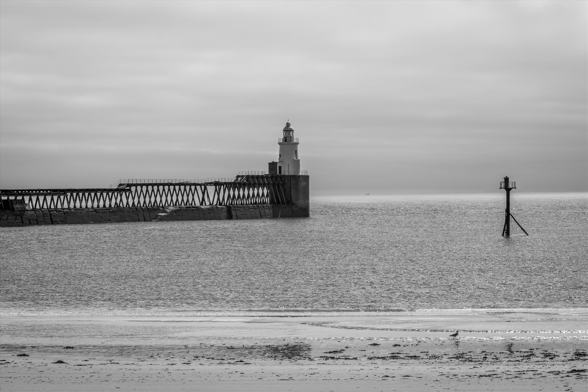 Blyth Pier and Lighthouse in Mono  by Graham Dobson Photography