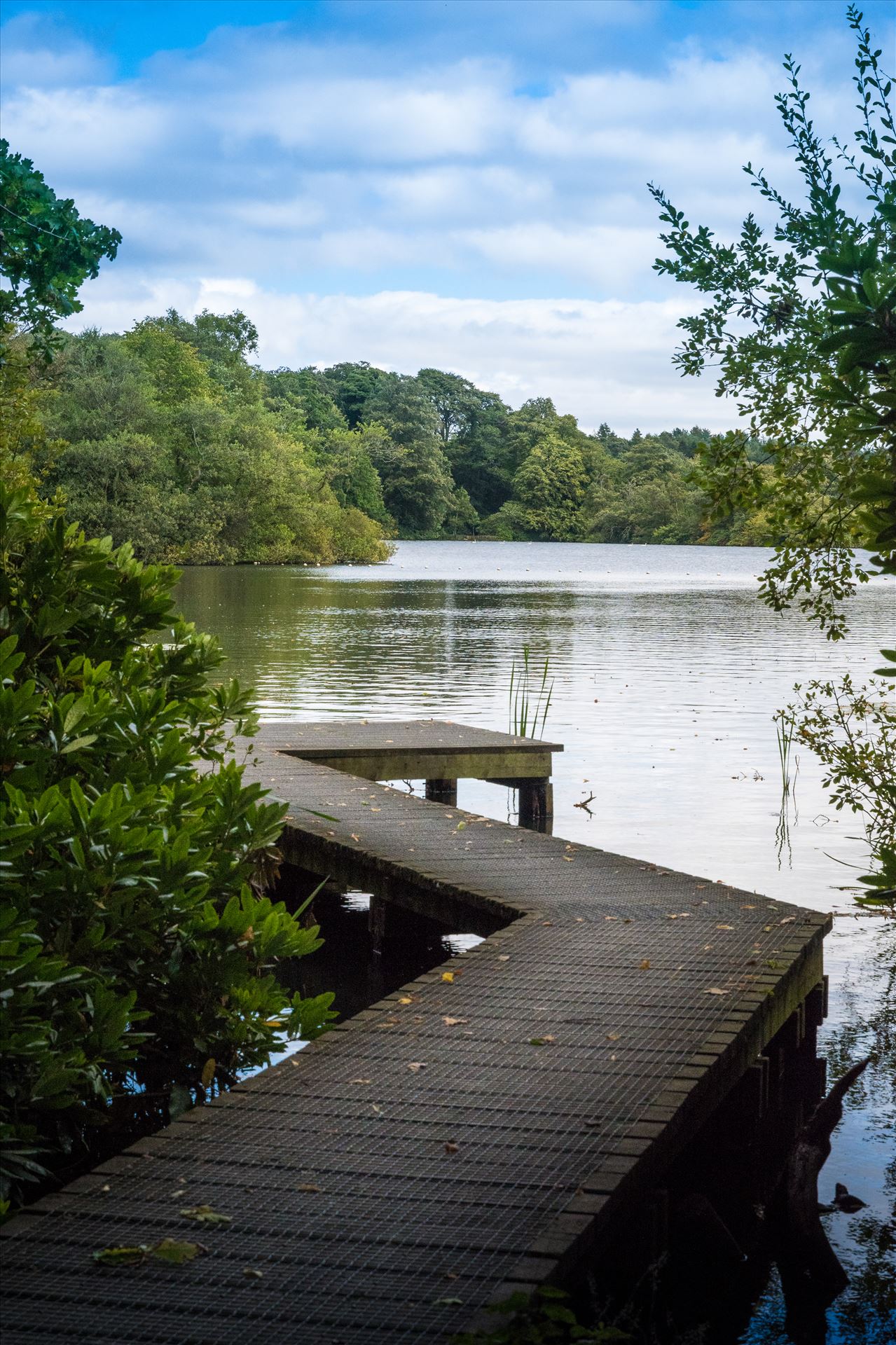 Bolam Lake, Northumberland  by Graham Dobson Photography