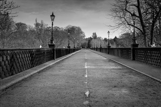 Armstrong Bridge, Jesmond Dene, Newcastle by Graham Dobson Photography