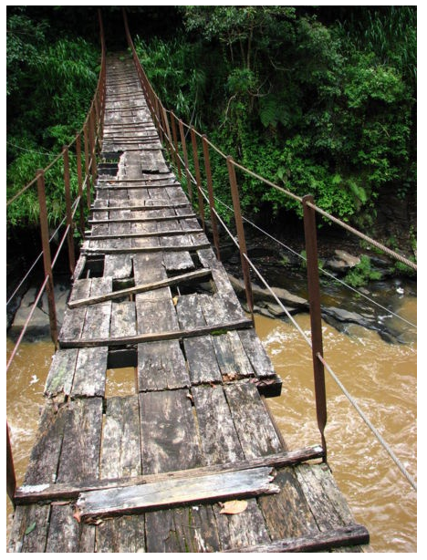 bridge.PNG  by Dave Whyte-8710