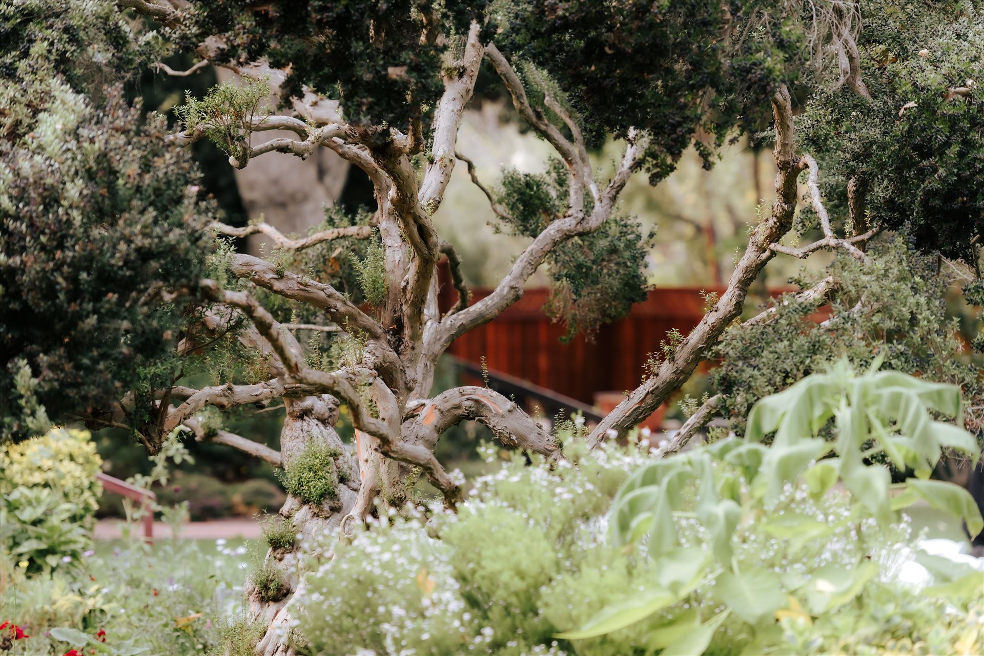 Final-85.JPG  by Jennifer and Jeremy West