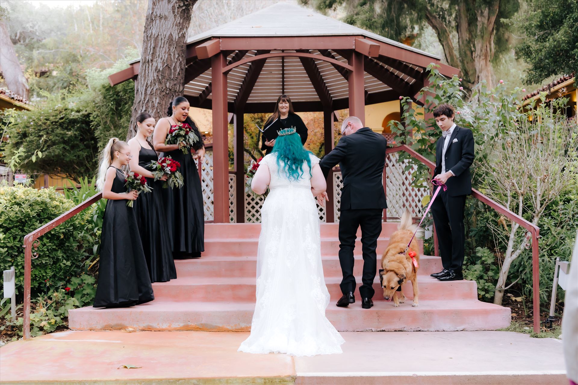 Final-9466.JPG  by Jennifer and Jeremy West