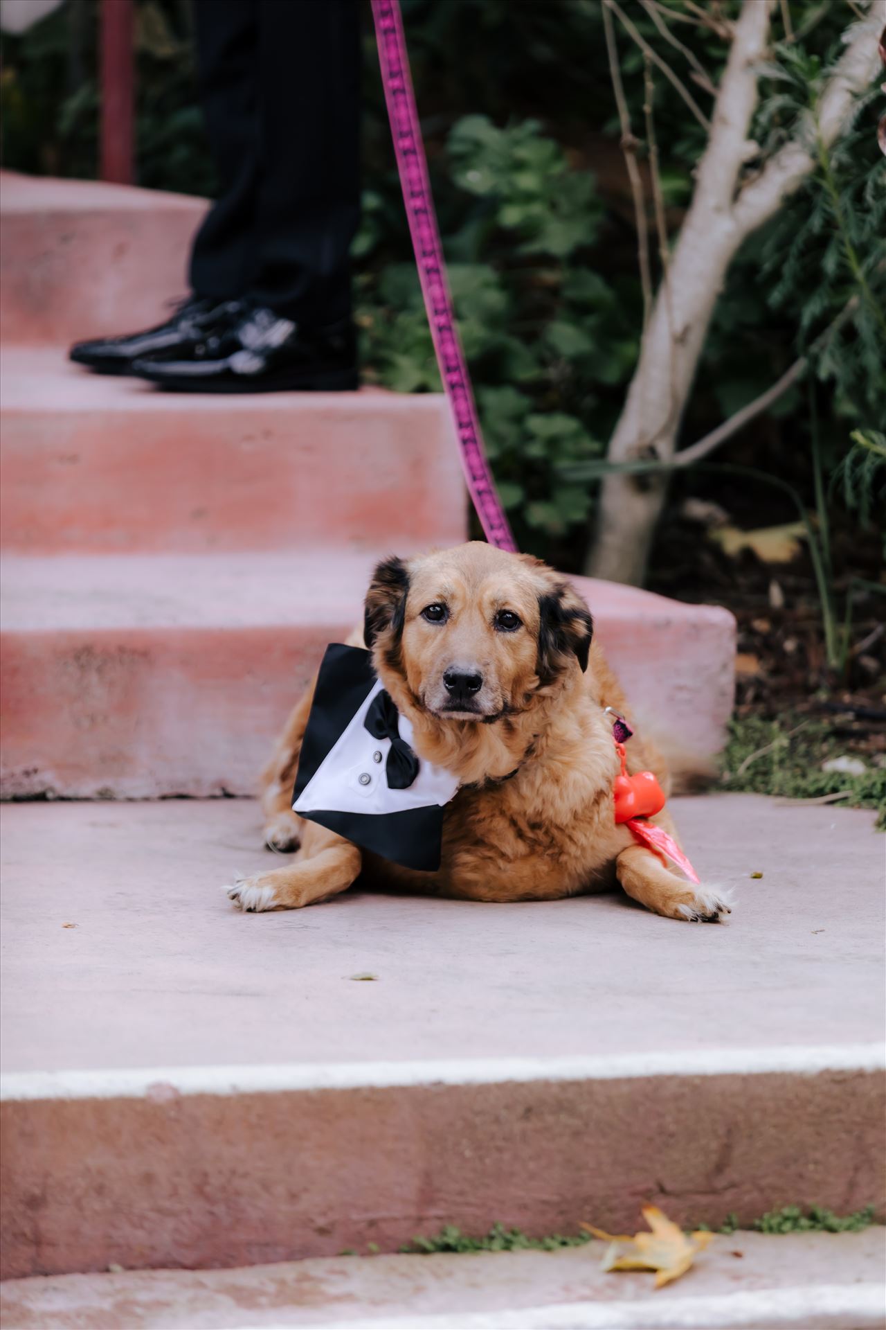 Final-7037.JPG  by Jennifer and Jeremy West