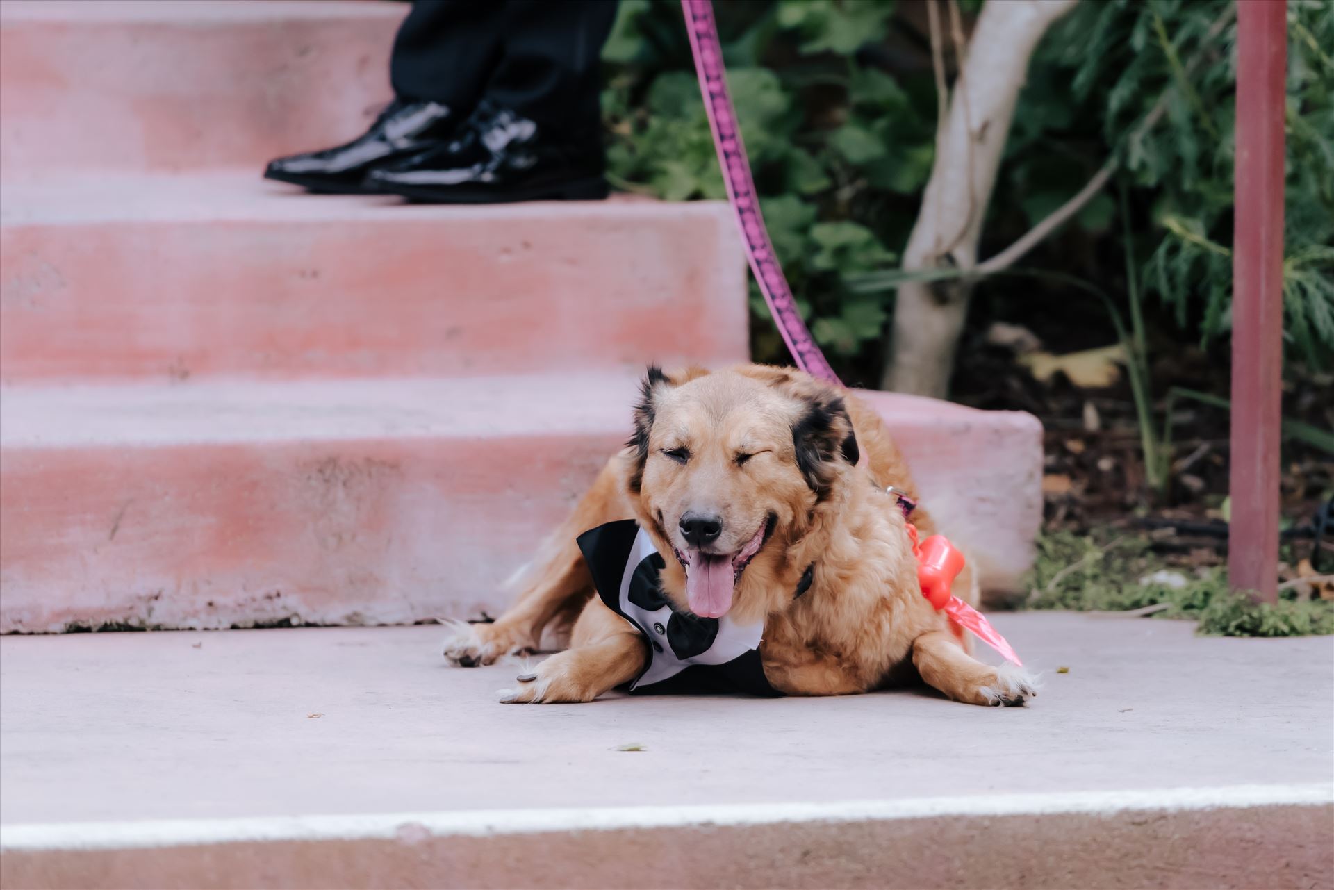 Final-45.JPG  by Jennifer and Jeremy West