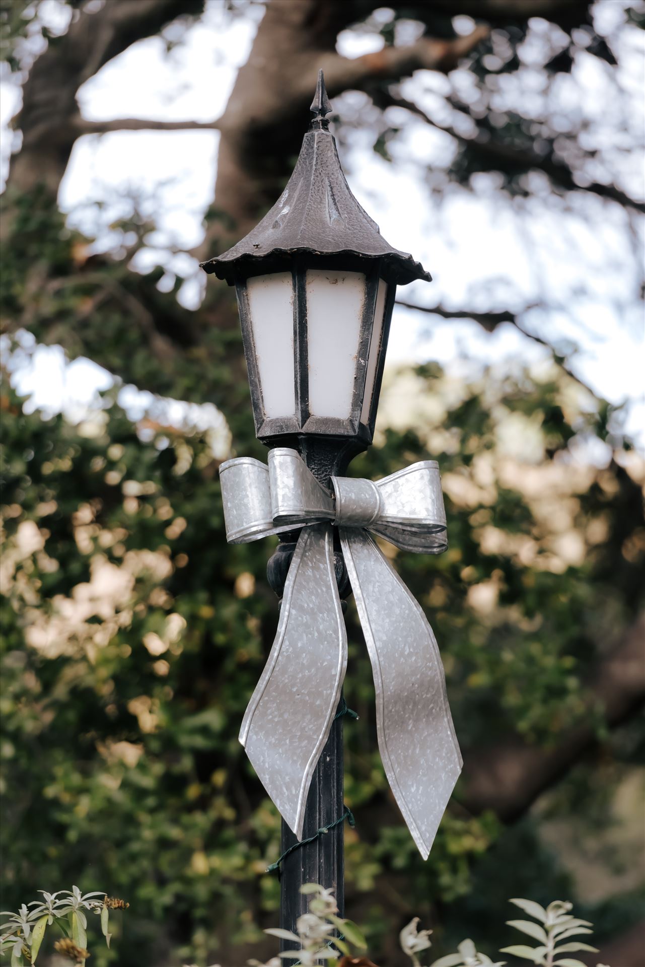 Final-83.JPG  by Jennifer and Jeremy West