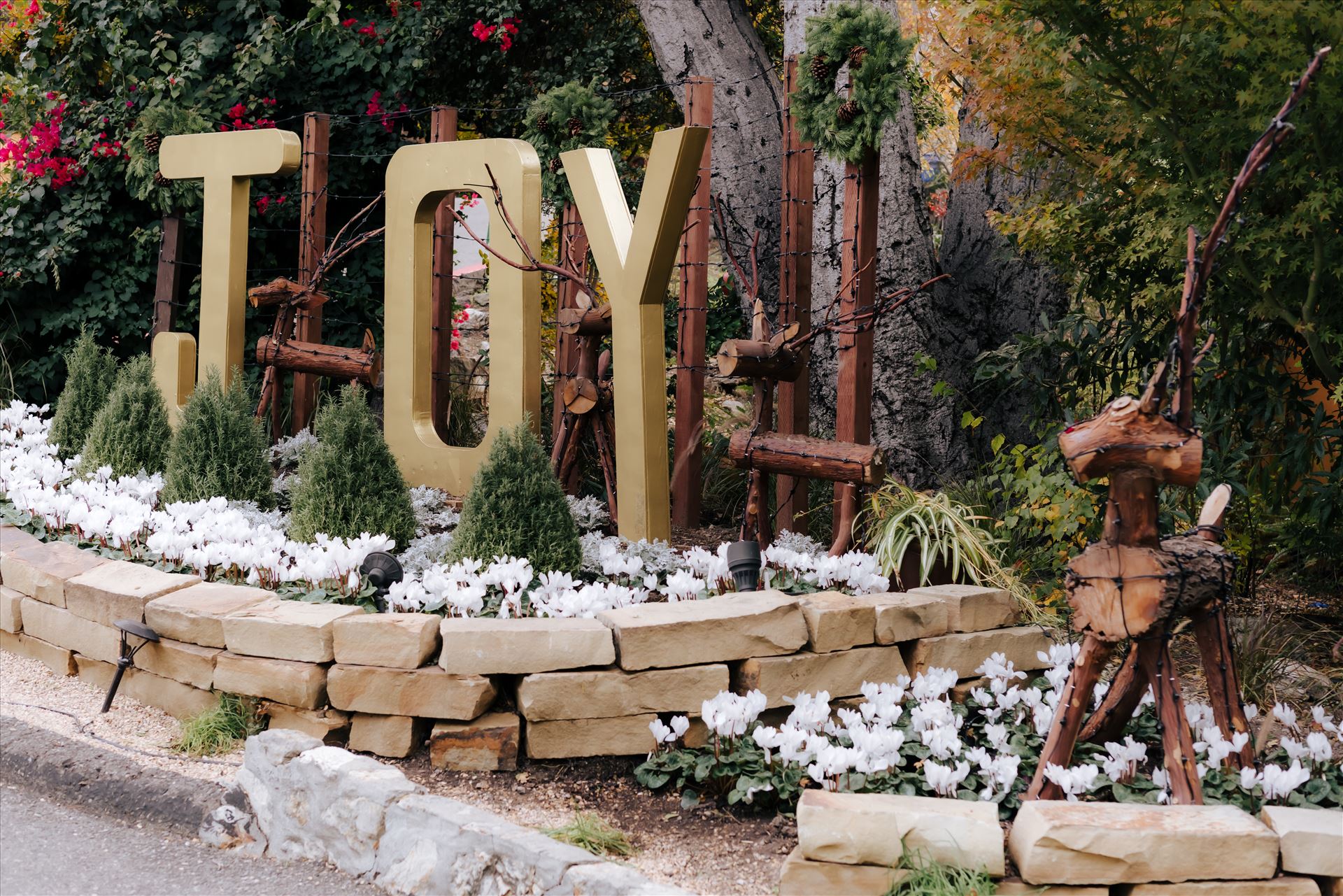 Final-9442.JPG  by Jennifer and Jeremy West