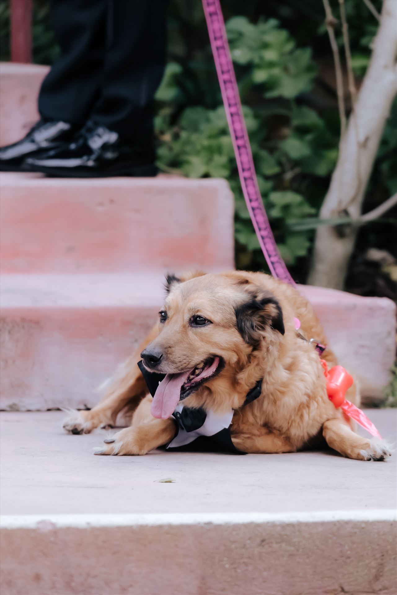 Final-44.JPG  by Jennifer and Jeremy West