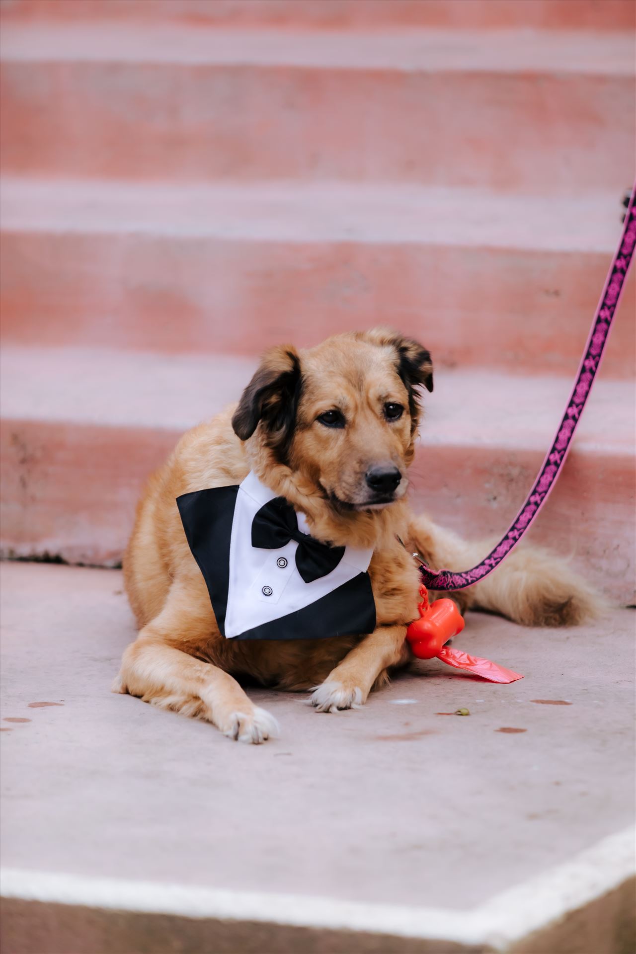 Final-7115.JPG  by Jennifer and Jeremy West