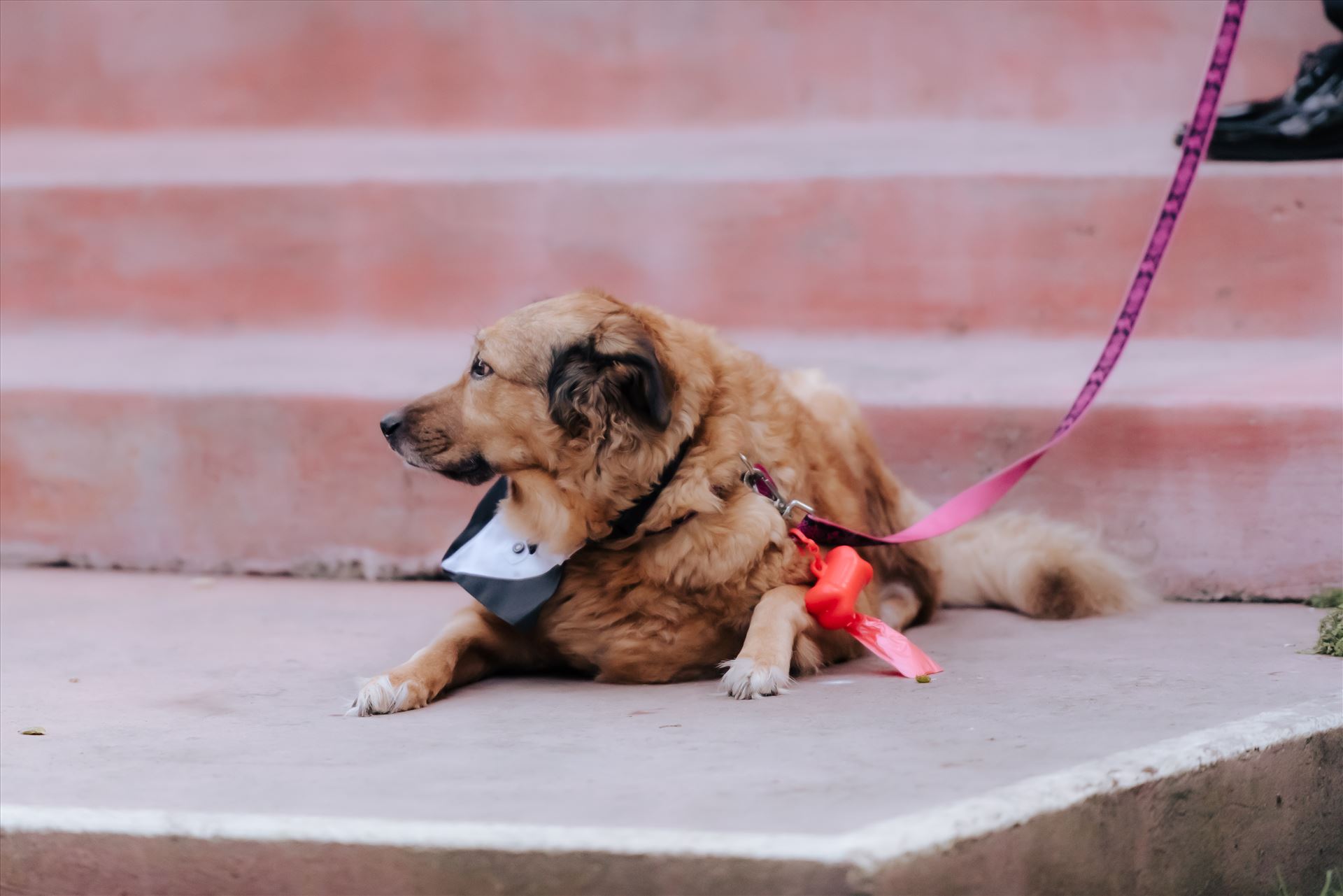 Final-23.JPG  by Jennifer and Jeremy West