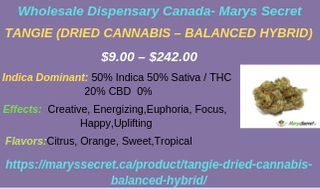 Wholesale Dispensary Canada- Marys Secret.jpg  by maryssecret