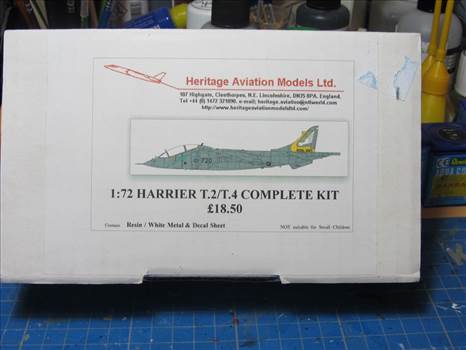 AIM Harrier 172 22.02.19.JPG - 