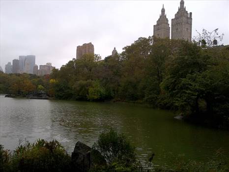 Central Park by Gregvert