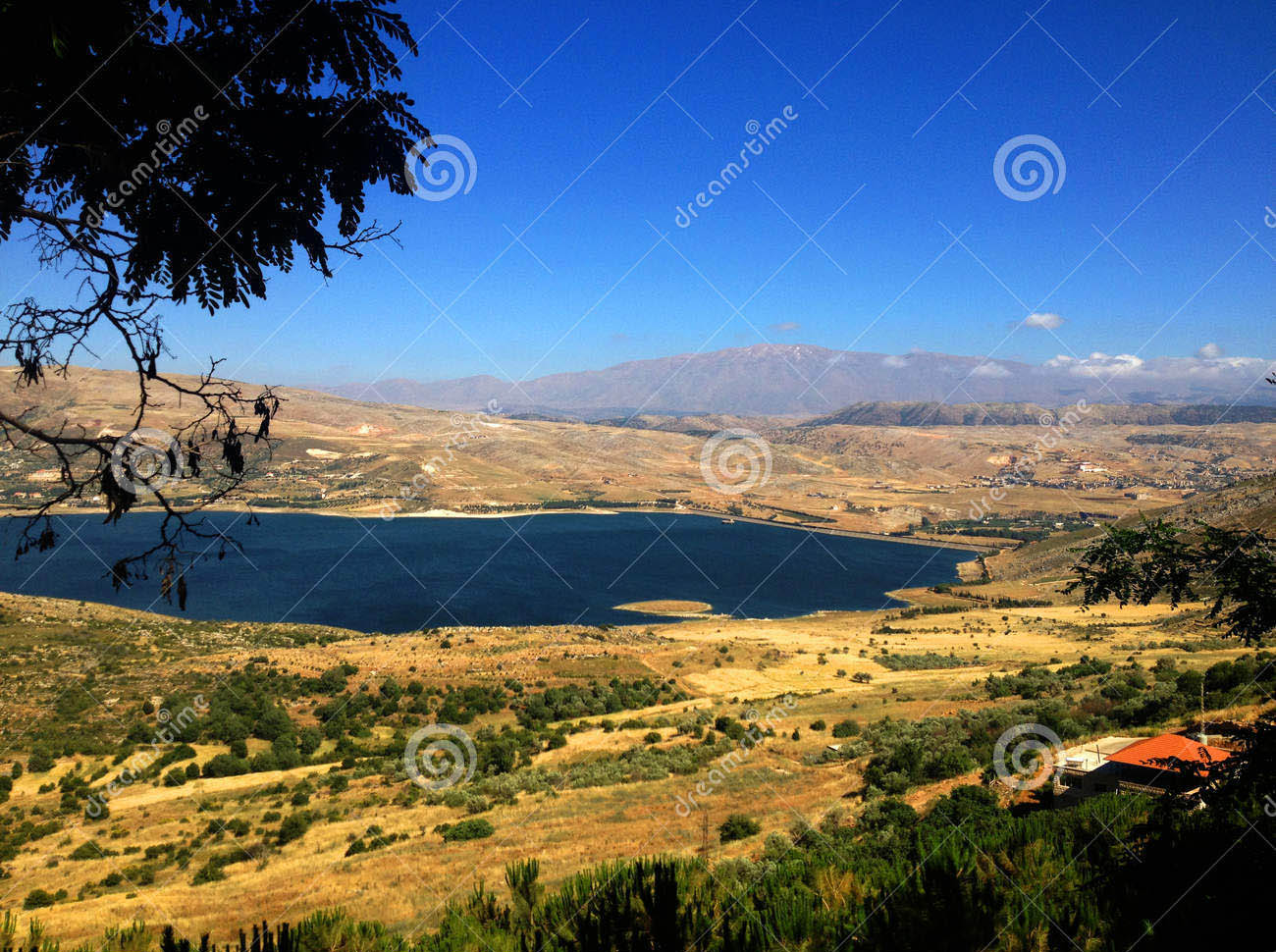 lebanese-landscape-bekaa-valley-beqaa-bekaa-valley-baalbeck-lebanon-highway-58564370.jpg  by modeldad
