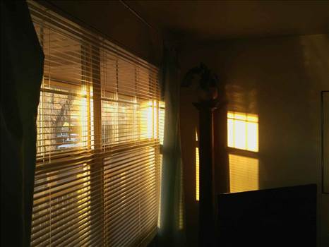 Blackout blinds leeds by Blindsleeds