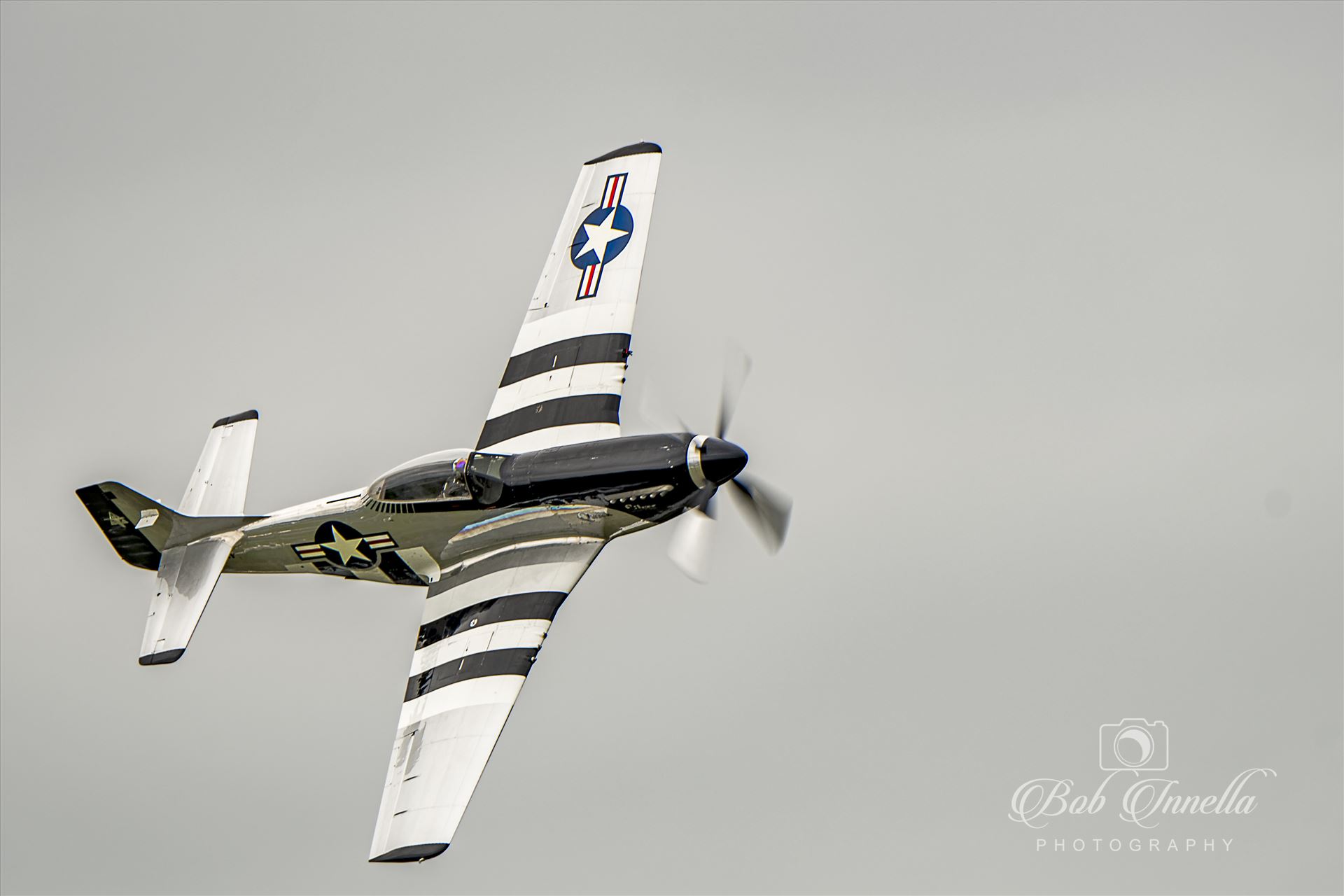 P-51 Quick Silver Mustang  by Buckmaster