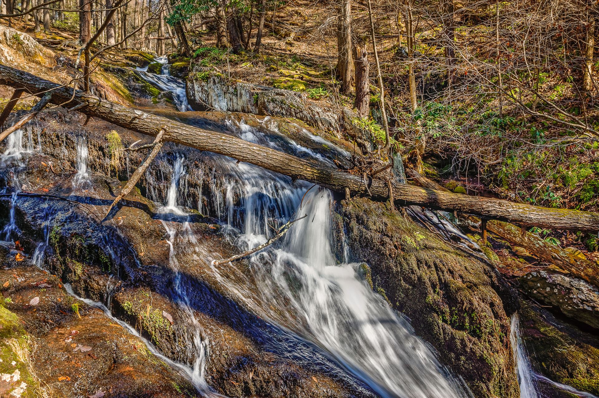Tillman's Ravine Northern, New Jersey in Stoke's Forest by Buckmaster