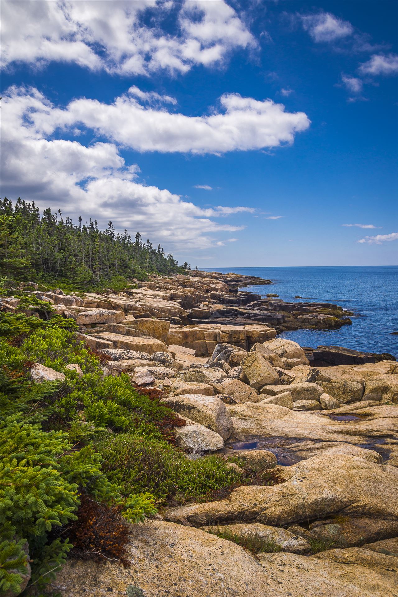 Acadia,Maine Coast Acadia National Park, Maine by Buckmaster