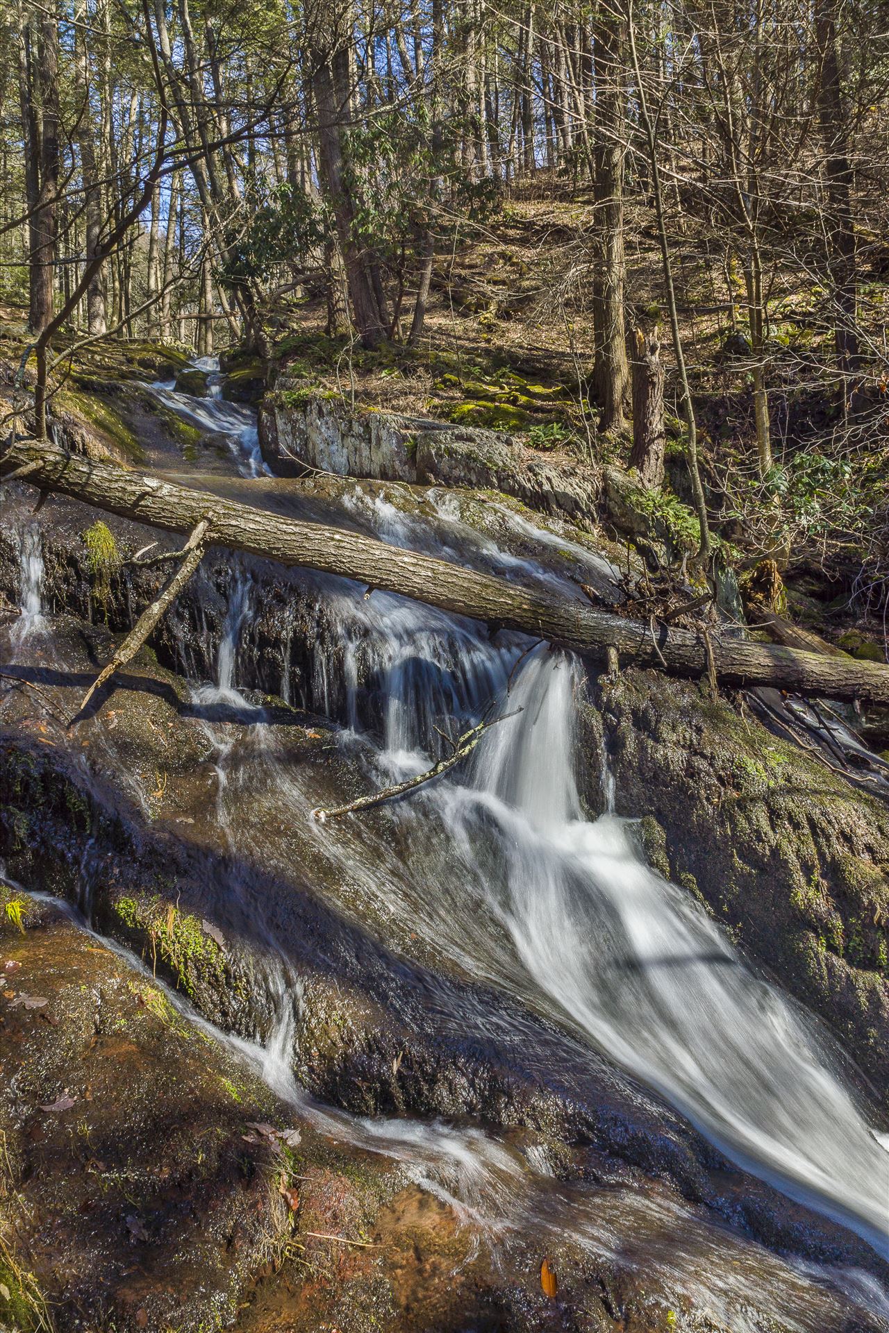 Tillman's Ravine Northern, New Jersey in Stoke's Forest by Buckmaster