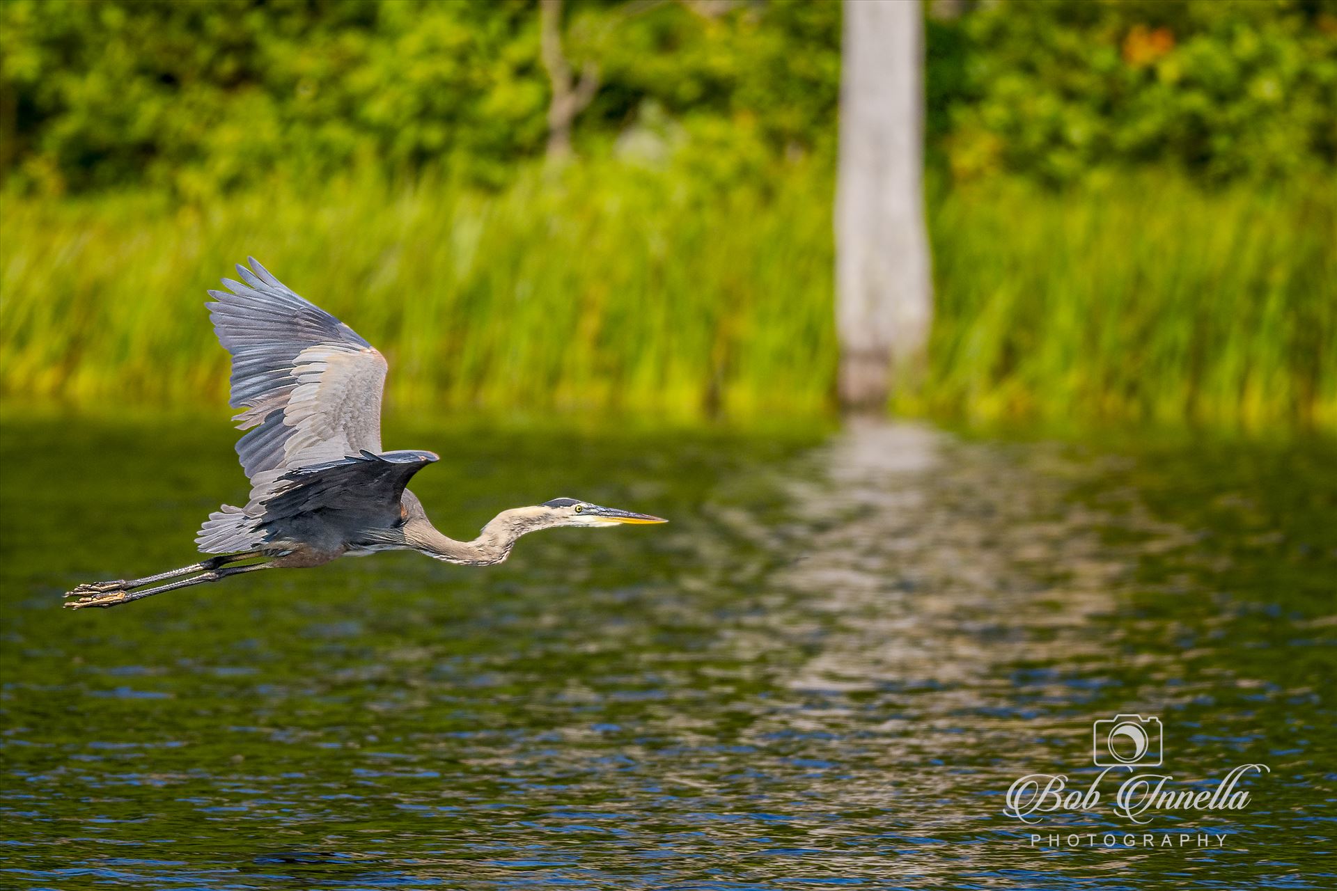 GBH_Flight  by Buckmaster