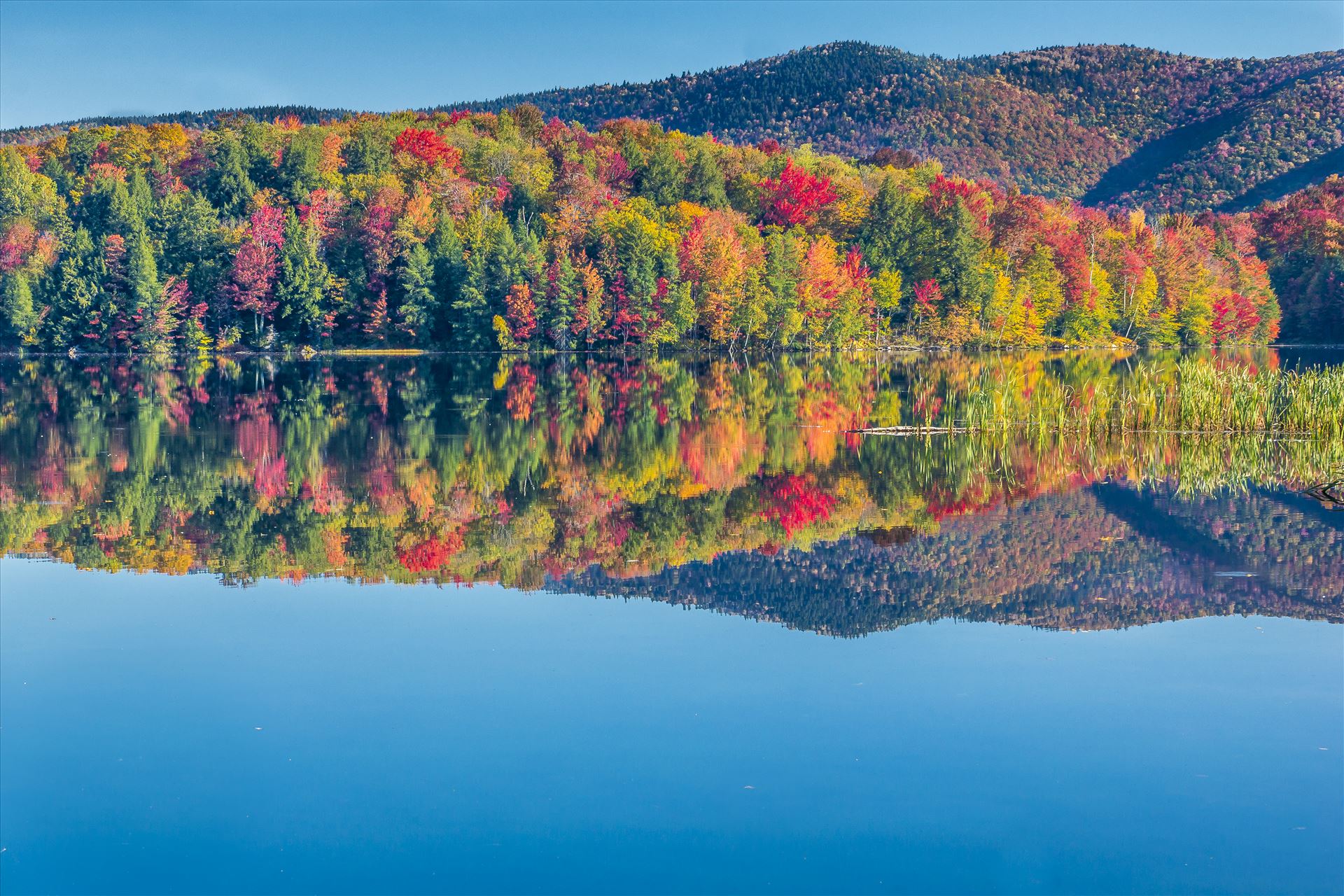 Vermont Fall Foliage Vermont Lake in Beautiful Fall Colors by Buckmaster