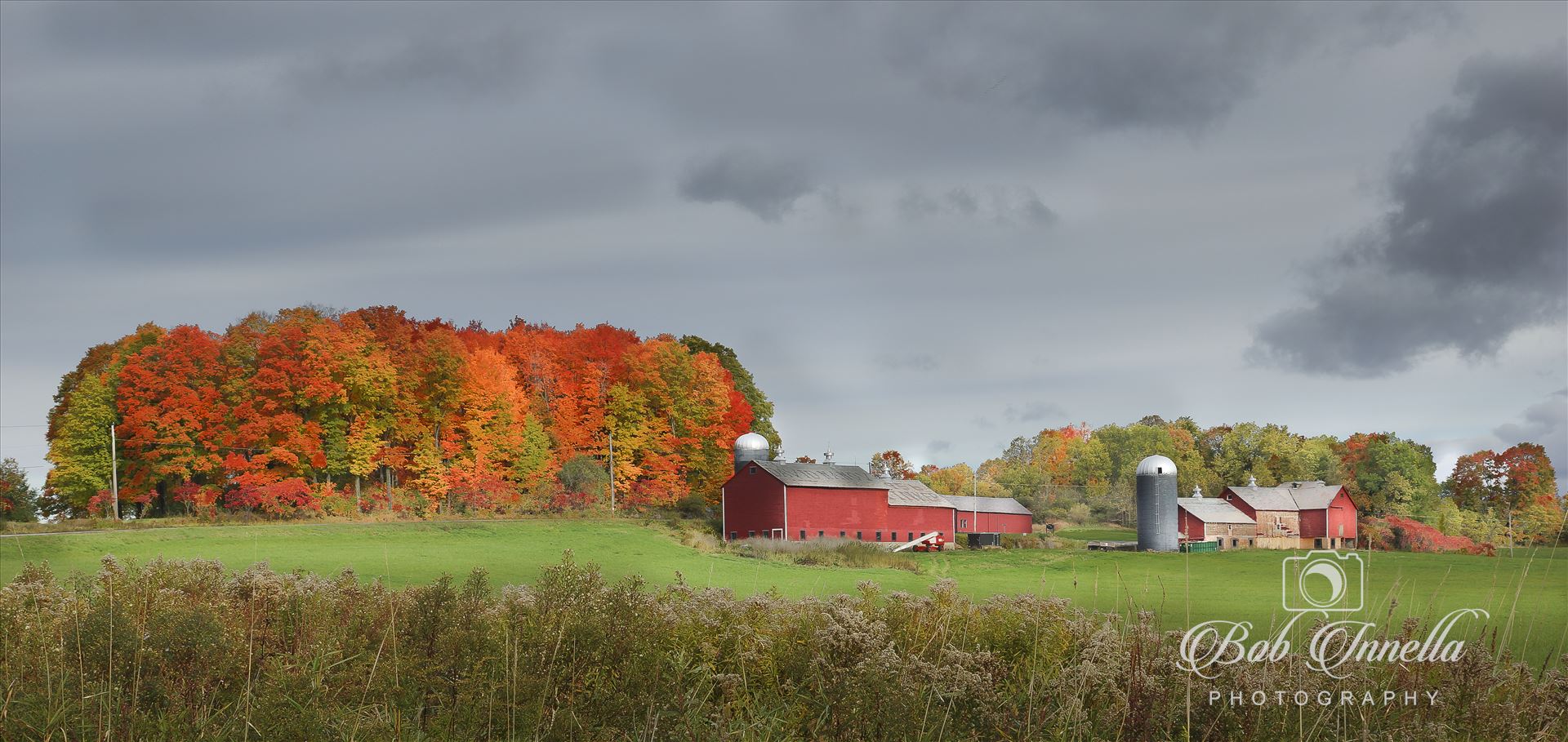 Vermont Red Barns Farm in Brandon, Vermont by Buckmaster