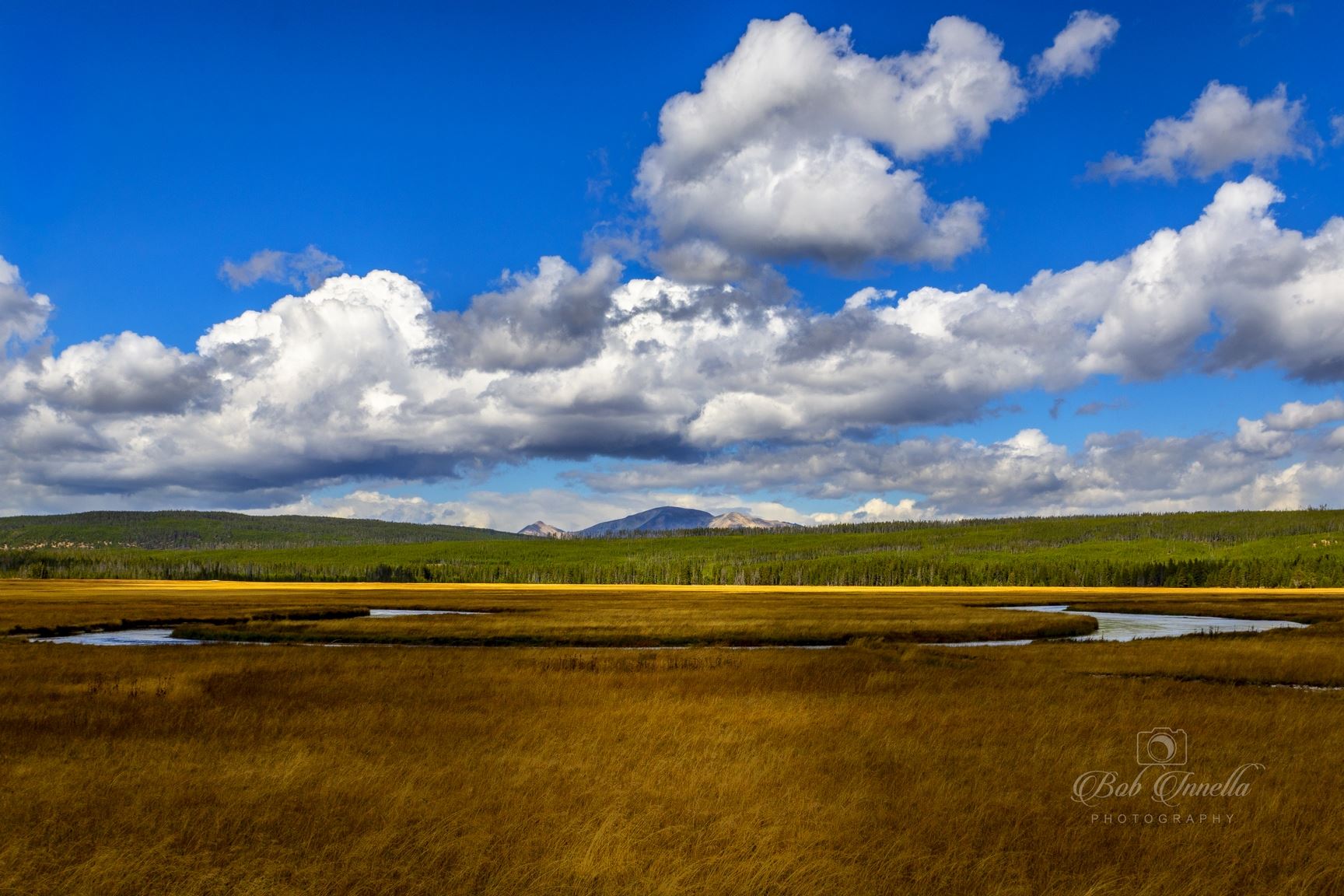 Somewhere in Yellowstone National Park  by Buckmaster