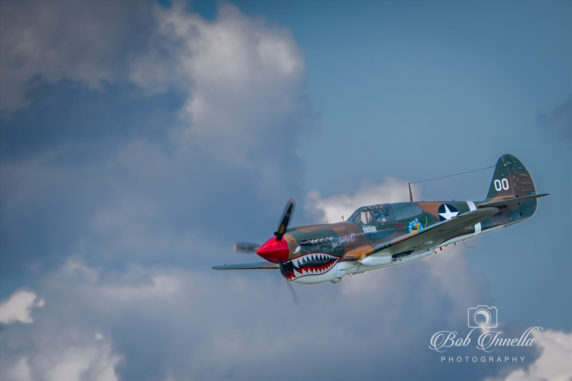 P-40 Warhawk  by Buckmaster