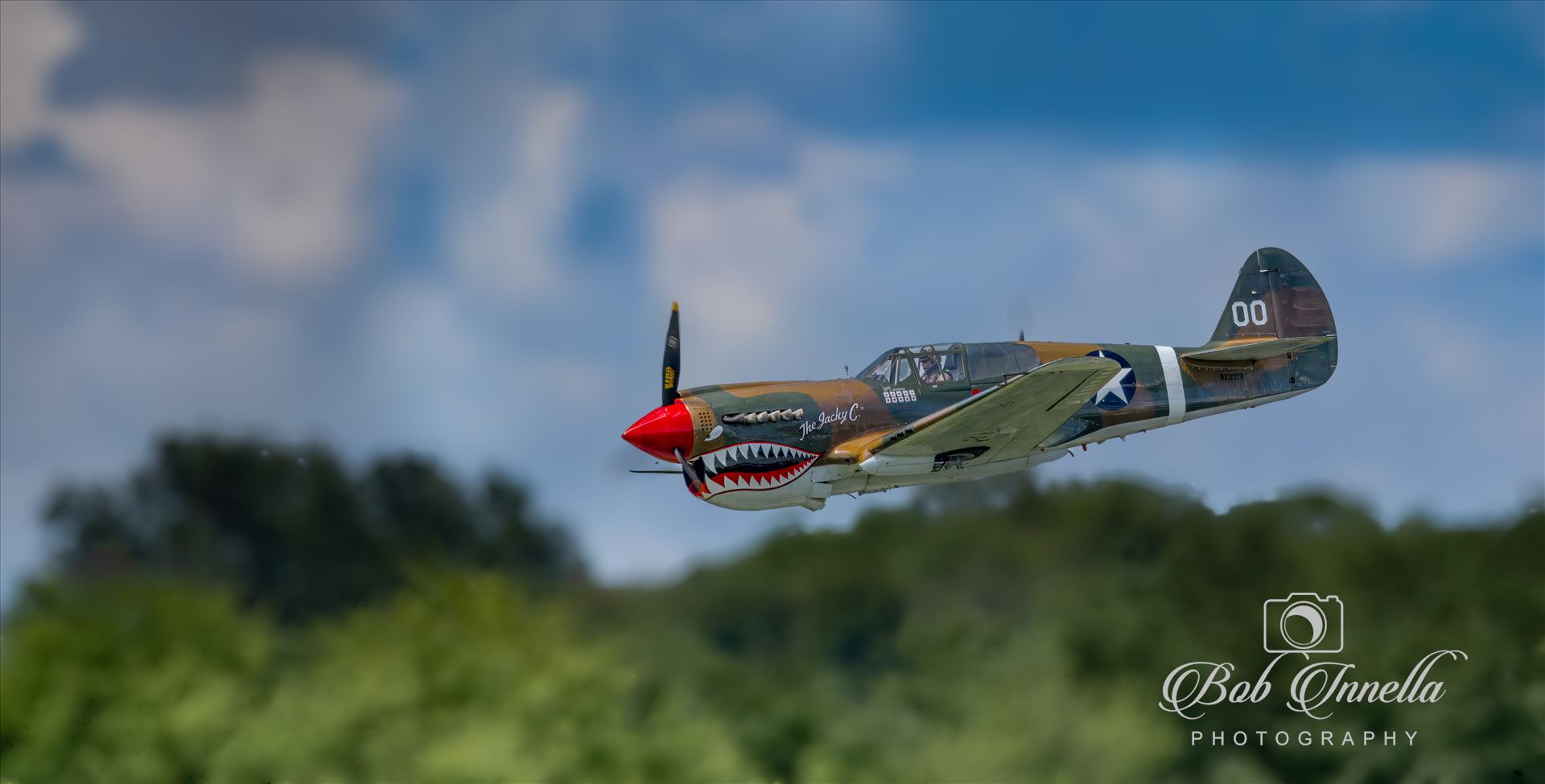 P-40 Warhawk  by Buckmaster