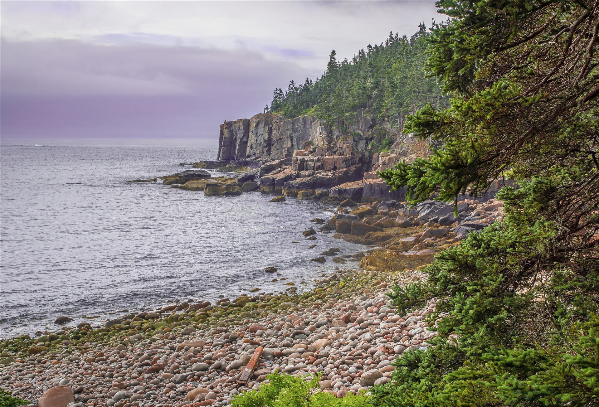 Otter Cliffs in Acadia Famous Otter Cliffs in Acadia National Park, Bar Harbor, Maine by Buckmaster