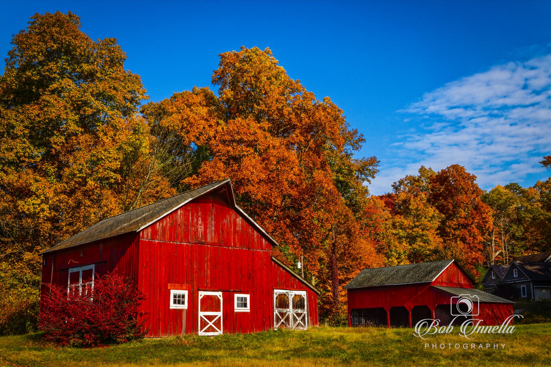 Hainesville, Nj Red Barn   Farm-.jpg Red Barn Farm in Hainesville, New Jersey by Buckmaster