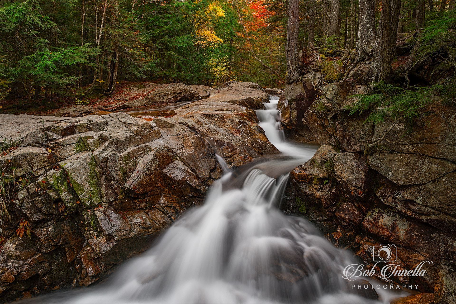Franconia, NH Falls, Near Basin Falls  by Buckmaster