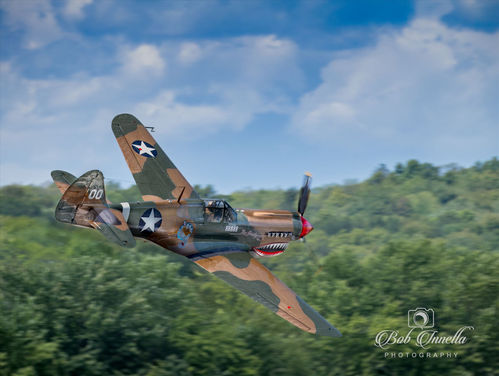 P-40 Warhawk  by Buckmaster