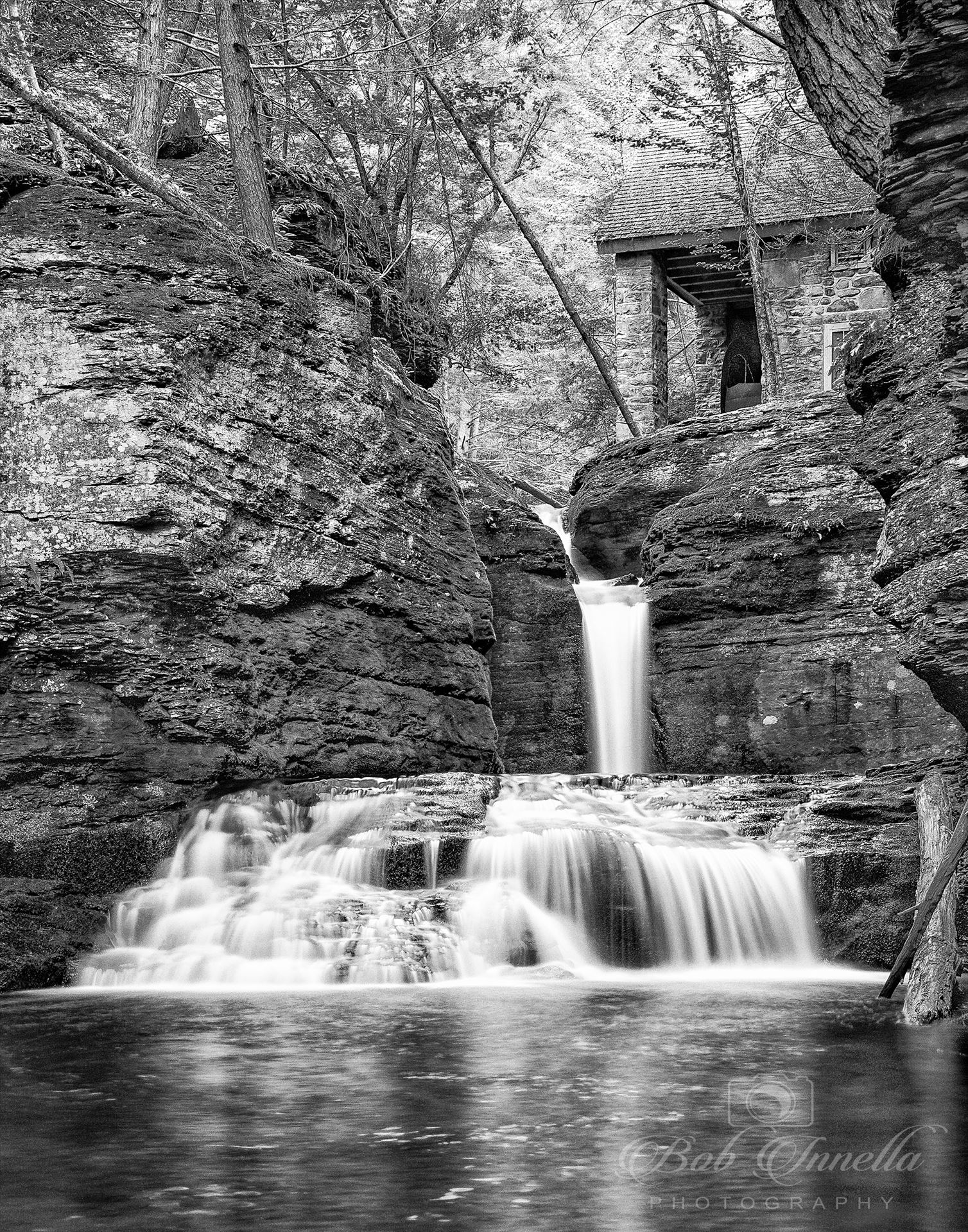 Adam's Creek Falls Black and White  by Buckmaster