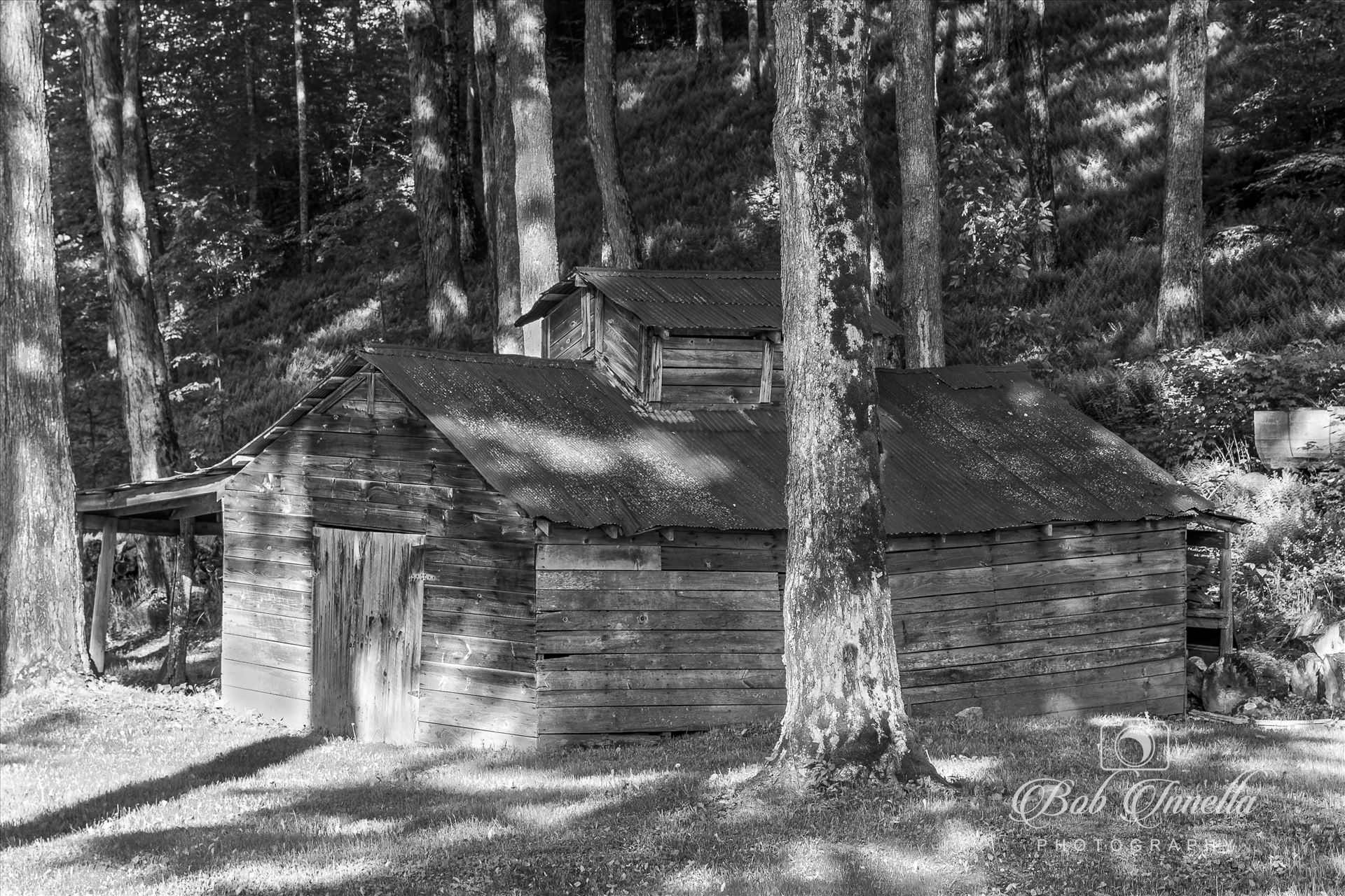 Old Vermont Sugar House in Black and White Medon, Vermont Old Sugar House by Buckmaster