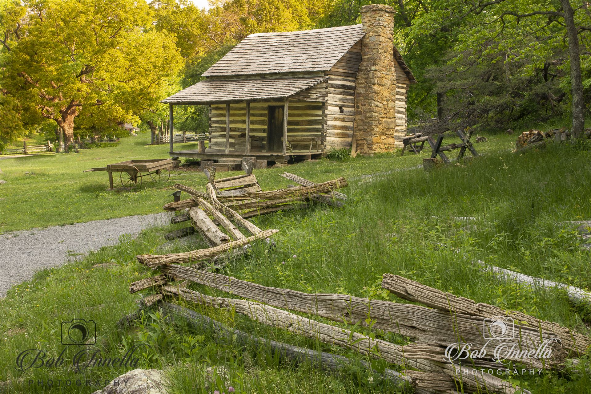 Cabin Along The Blue Ridge Parkway  by Buckmaster