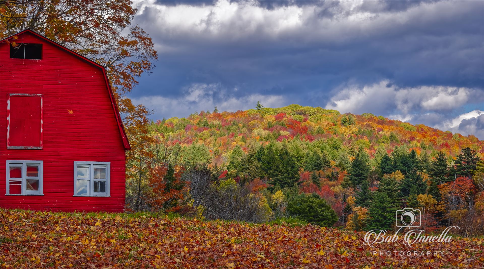 Vermont Red Barn Vermont Red Barn with October Foliage Colors by Buckmaster