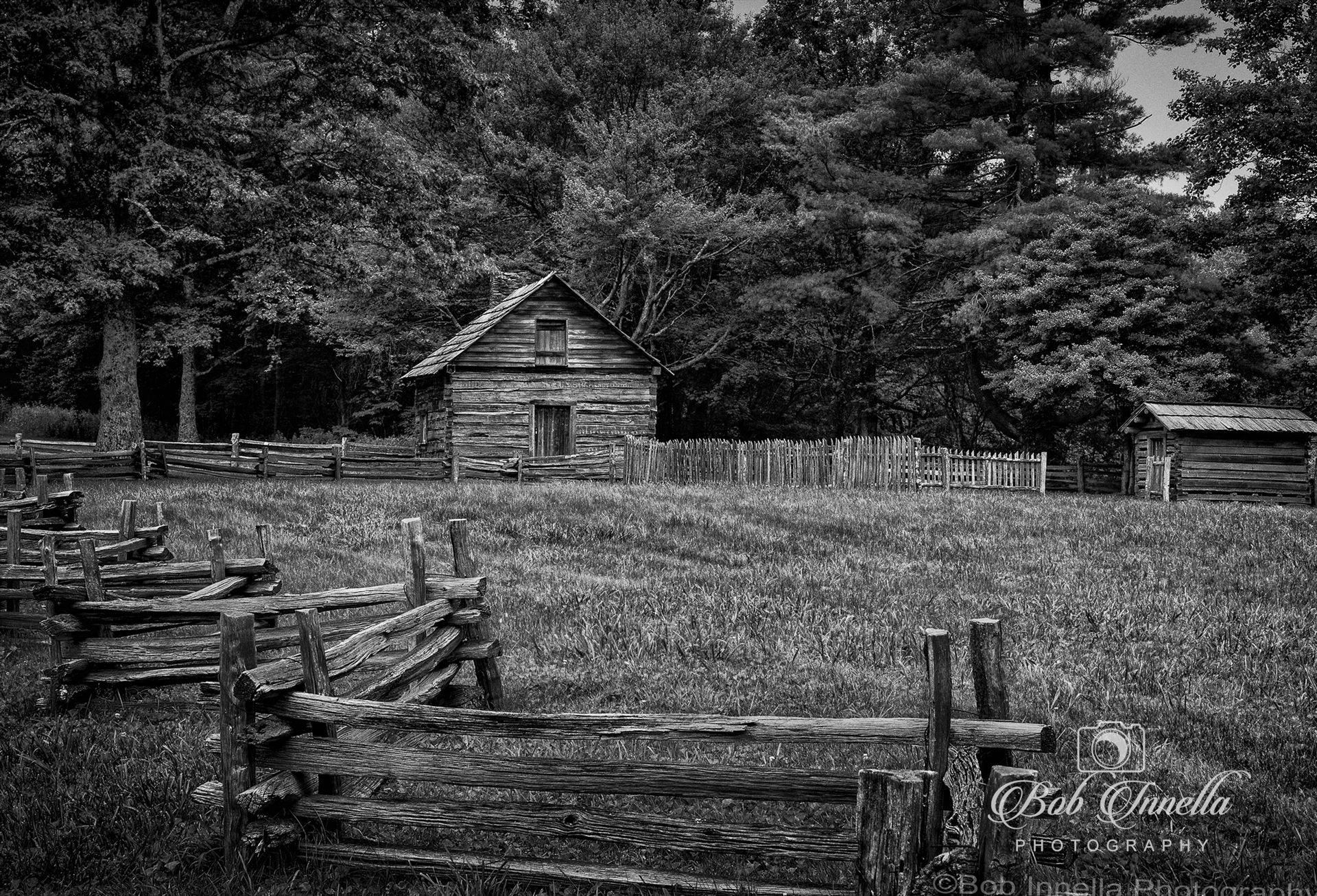 Puckett Cabin On Blue Ridge Parkway, Virginia  by Buckmaster