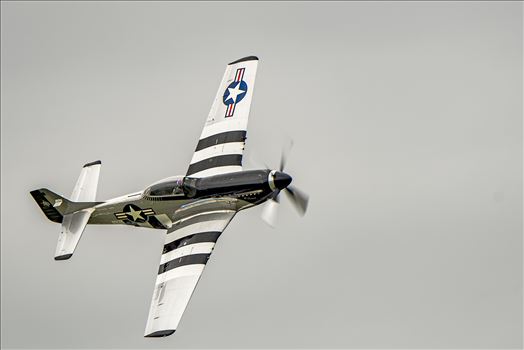 P-51 Quick Silver Mustang by Buckmaster