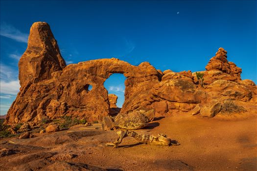 Arches_Np3 by Buckmaster
