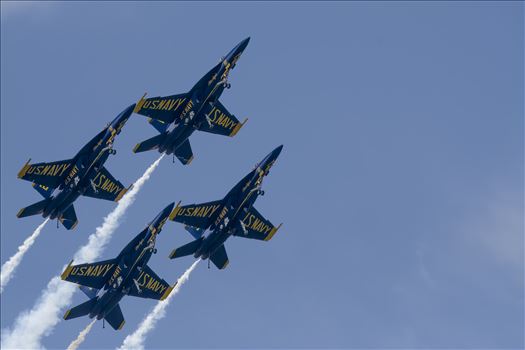 US Navy Blue Angels by Buckmaster
