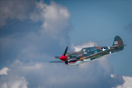 P-40 Warhawk by Buckmaster