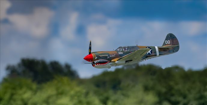 P-40 Warhawk by Buckmaster