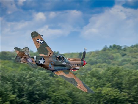 P-40 Warhawk by Buckmaster