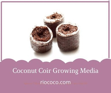 Coconut Coir Growing Media.gif  by Riococo