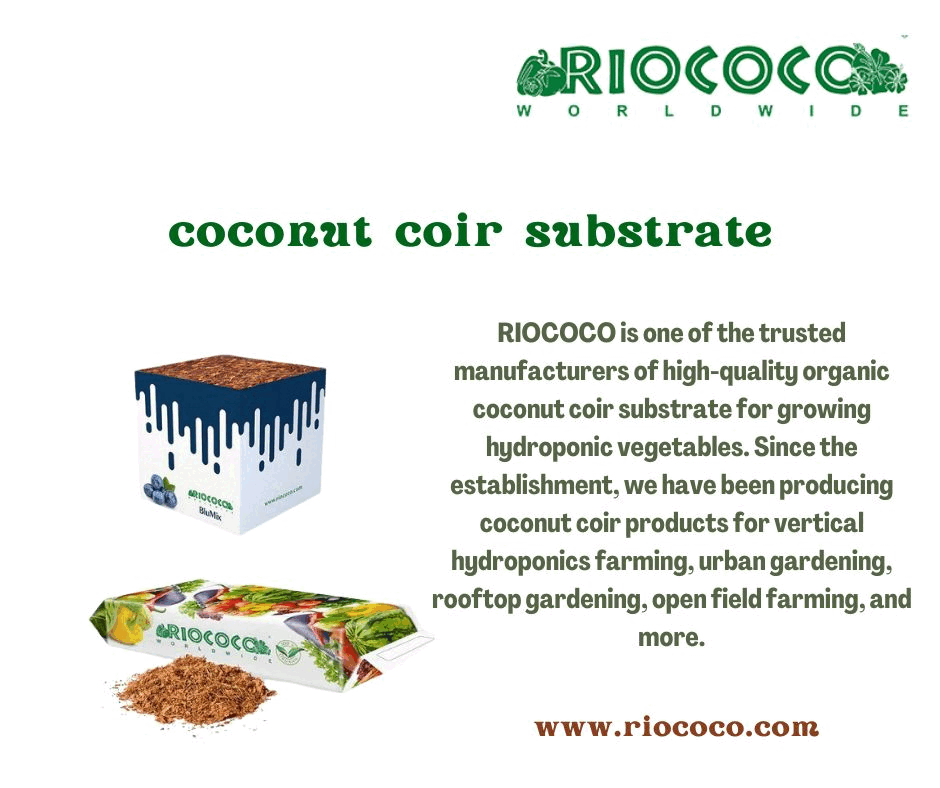 coconut coir substrate RIOCOCO is one of the trusted manufacturers of high-quality organic coconut coir substrate for growing hydroponic vegetables.  For more details, visit: https://www.riococo.com/coconut-coir-substrate-a-perfect-growing-medium-for-different-crops/ by Riococo