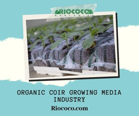 Organic coir growing media industry.gif  by Riococo
