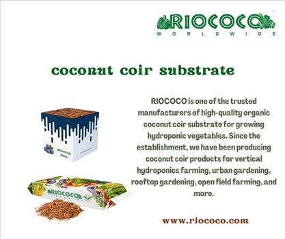 coconut coir substrate by Riococo